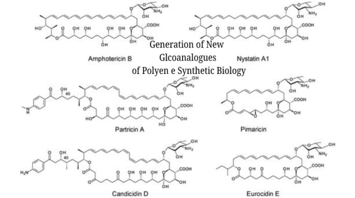 Generation of New Glcoanalogues of Polyen e Synthetic Biology