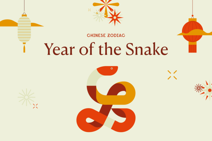 year of the snake google